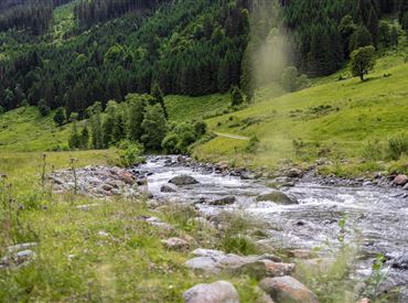Kurzer Grund@Region Hohe Salve-Magdalena Laiminger