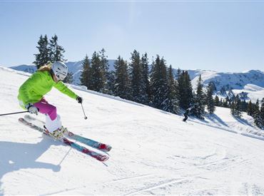 ski