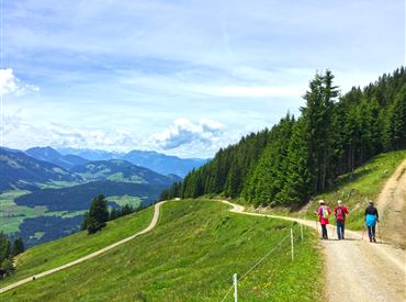 Abstieg vom Gasthof Rigi
