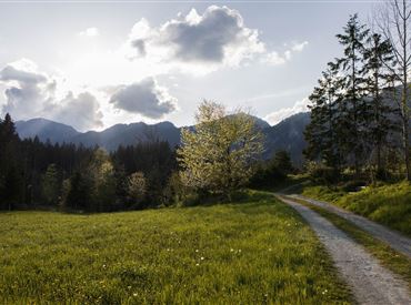 Angerberg Frühling (c) Magdalena Laiminger 1.jpg