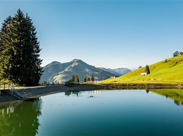 Filzalmsee