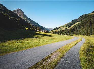 Kirchberg_Sommer_Kitzbüheler Alpen-Brixental_Mathäus Gartner (2019)_FULL21.jpg
