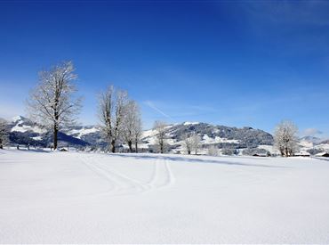 MakingOf-WinterImage Westendorf11.JPG