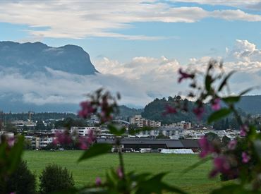 Möslalm_Wörgl_2024@ Region-Hohe Salve Weiskopf Larissa (1 von 14).jpg