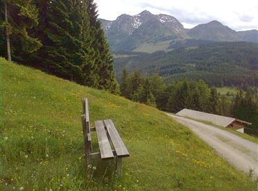 Palfenweg