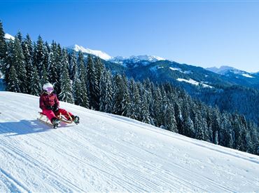 Rodelbahn Westendorf - Talkaser-Schrandlhof18.jpg