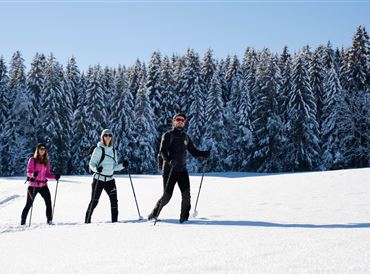 Schneeschuh-Wandern-Penningberg-Region-Hohe-Salve-(c)Region Hohe Salve - Stefan Ringler (7).jpg