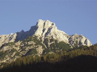 Seehorn.jpg
