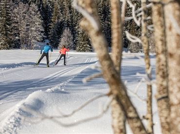 Tourismusverband PillerseeTal (c) Mirja Geh (66).jpg