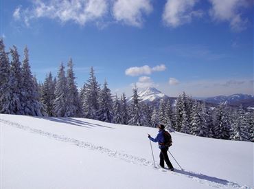 Winterwandern (4).jpg