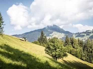Zöpflweg-Brixen_Mathäus Gartner_201826 - Kopie.jpg